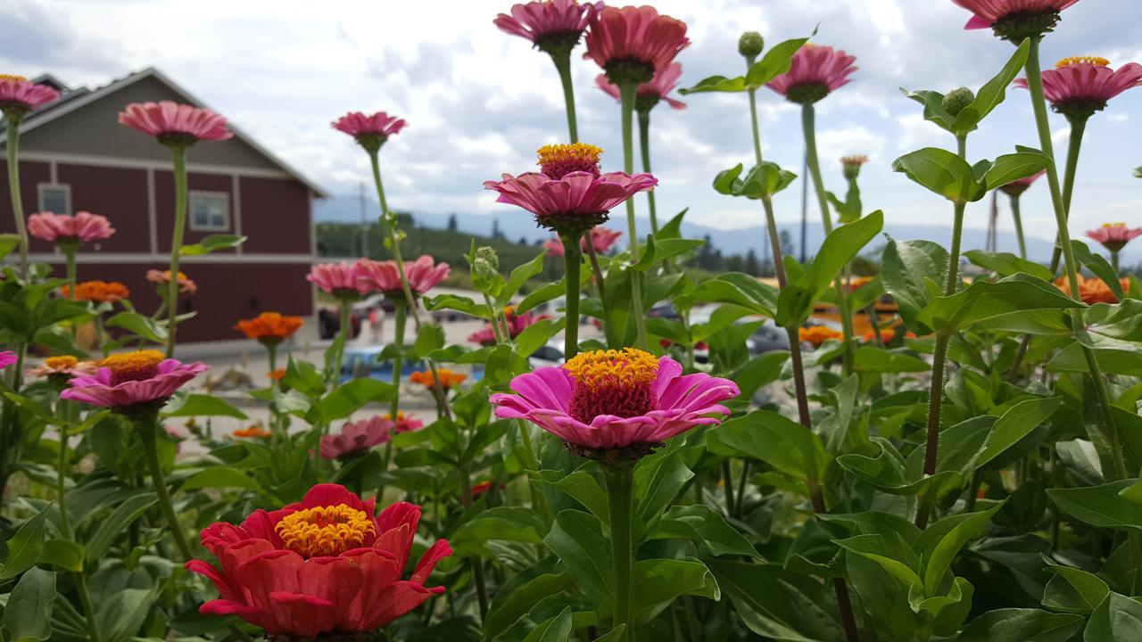 Hillcrest Farm Market B&B Kelowna Exterior photo